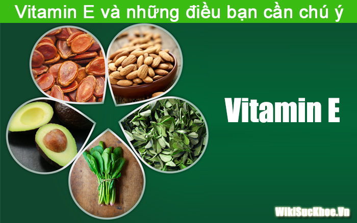 Vitamin E và những điều bạn cần chú ý